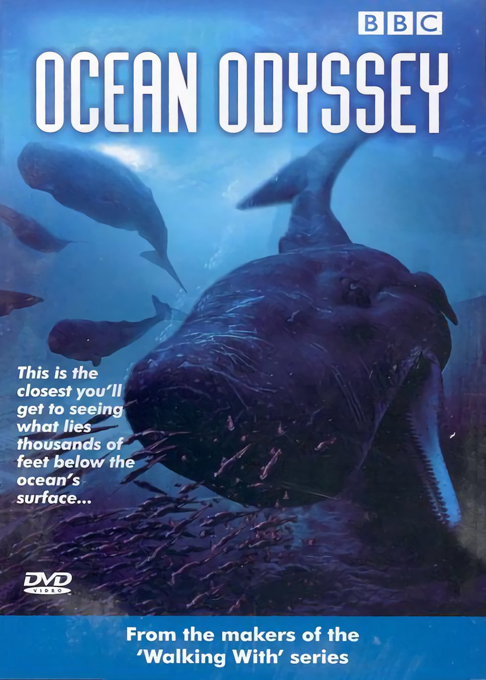 纪录片《海洋奥德赛》（2006）